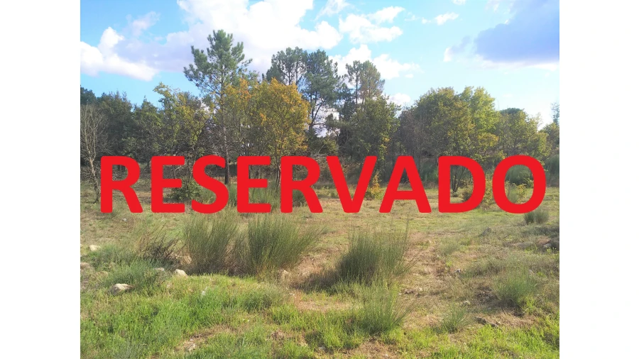 Terreno para Venda em Mangualde, Mesquitela e Cunha Alta