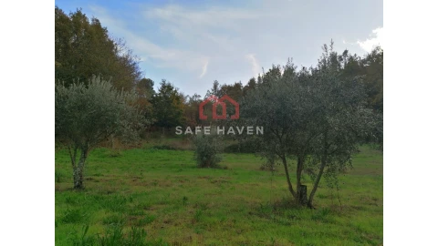 Terreno Agricola ou Rústico para Venda em Castelo de Penalva