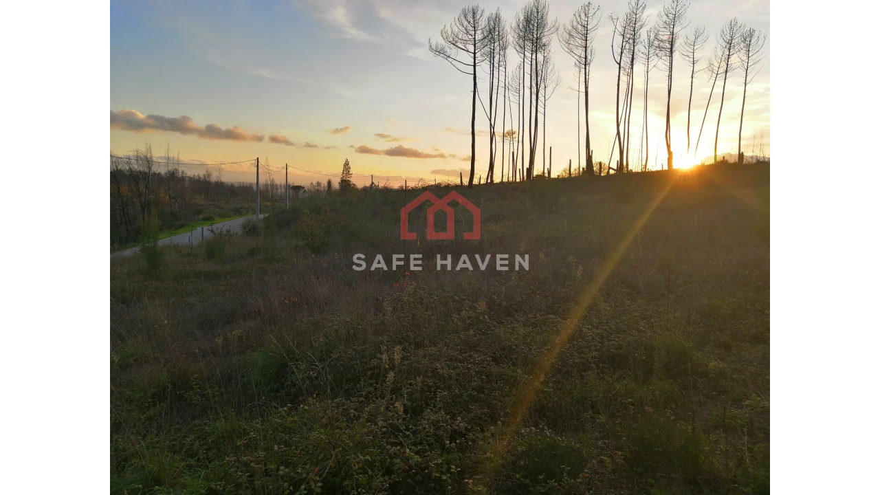 Terreno Agricola ou Rústico para Venda em Santiago de Cassurrães e Póvoa de Cervães Foto 1