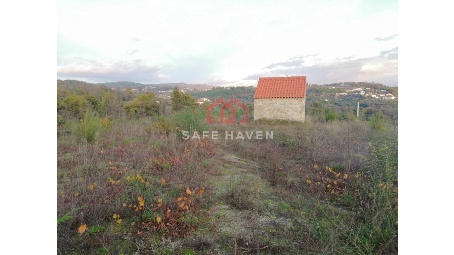 Terreno Agricola ou Rústico para Venda em Santiago de Cassurrães e Póvoa de Cervães Foto 2