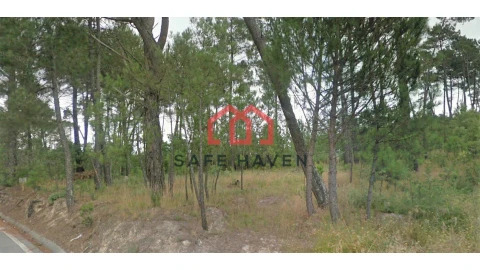 Terreno para Venda em Cunha Baixa