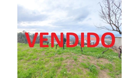 Terreno para Venda em Fornos de Maceira Dão