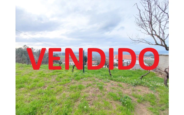 Terreno para Venda em Fornos de Maceira Dão