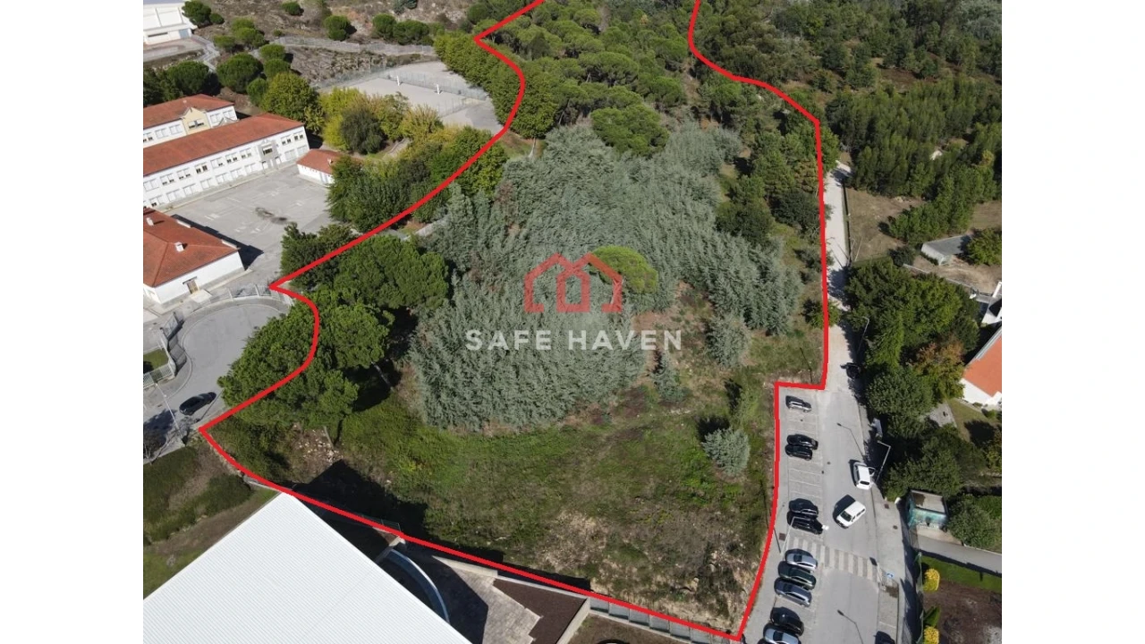 Terreno Agricola ou Rústico para Venda em Mangualde, Mesquitela e Cunha Alta Foto 1