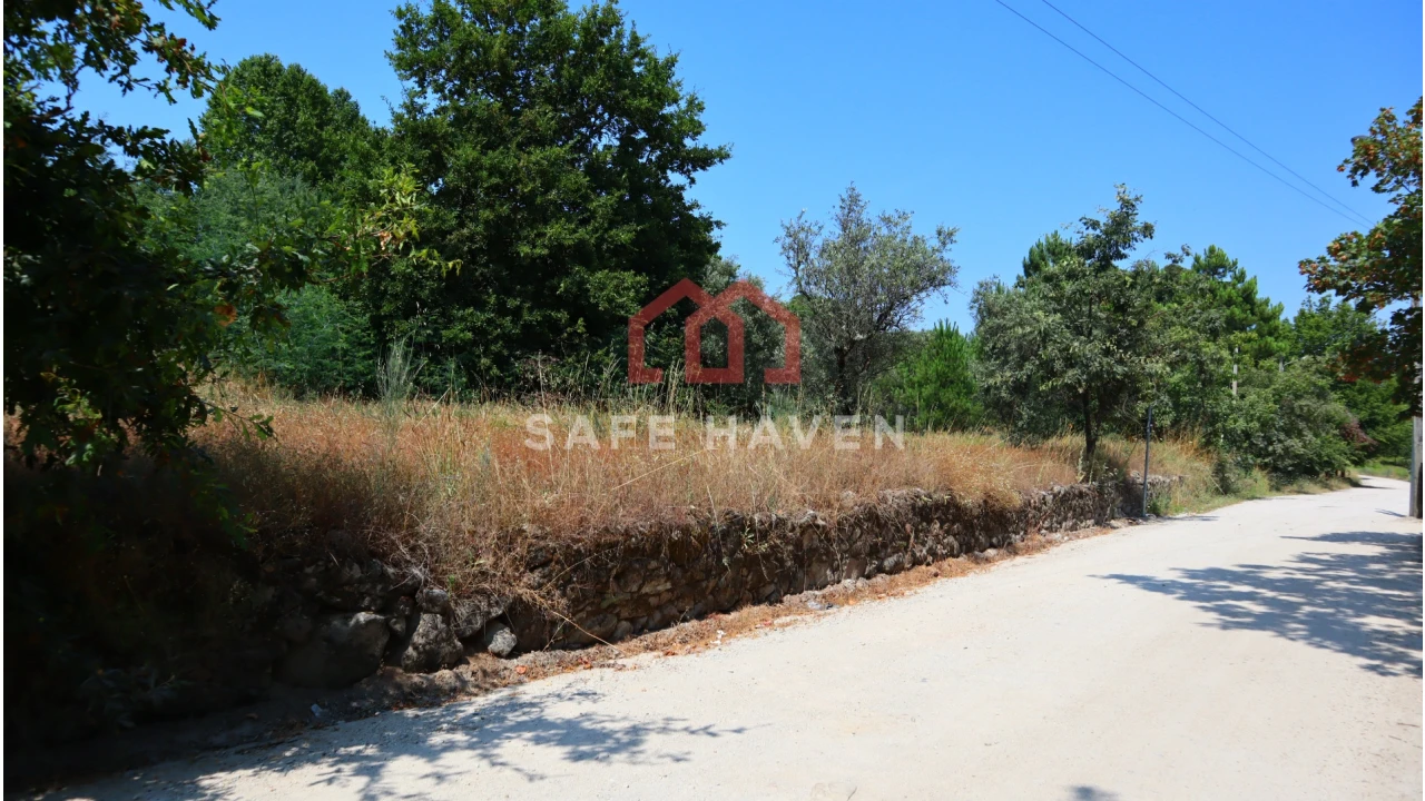 Terreno Agricola ou Rústico para Venda em Mangualde, Mesquitela e Cunha Alta Foto 3