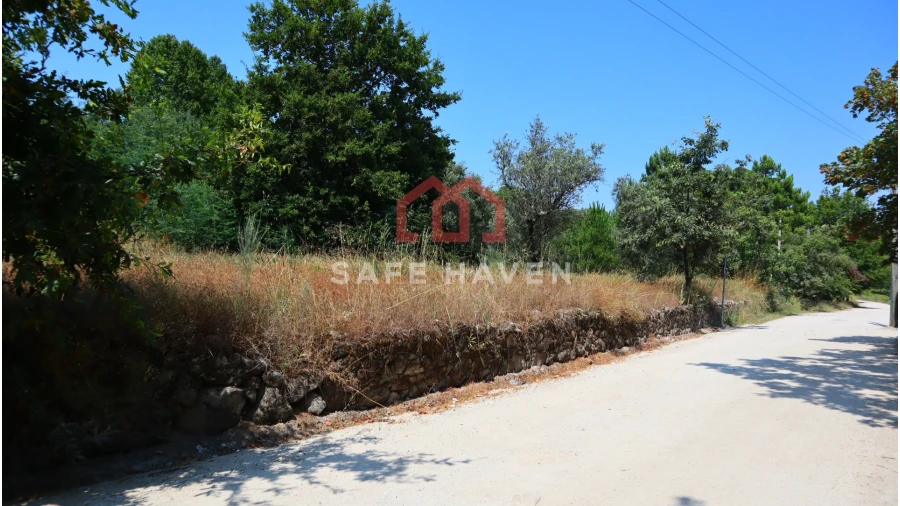 Terreno Agricola ou Rústico para Venda em Mangualde, Mesquitela e Cunha Alta Foto 1