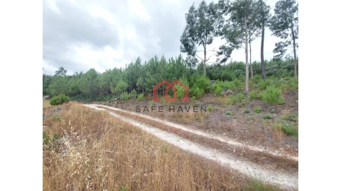 Terreno Agricola ou Rústico para Venda em Mangualde, Mesquitela e Cunha Alta
