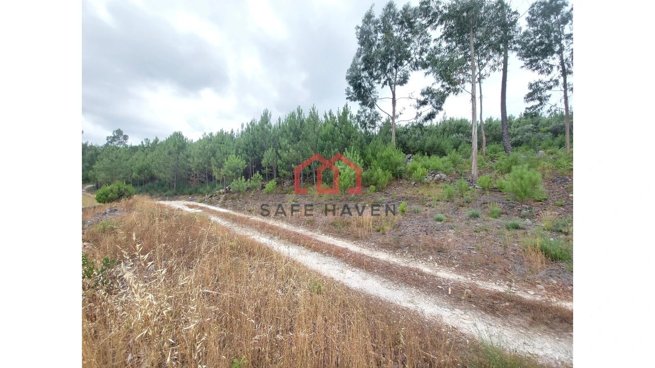 Terreno Agricola ou Rústico para Venda em Mangualde, Mesquitela e Cunha Alta Foto 1