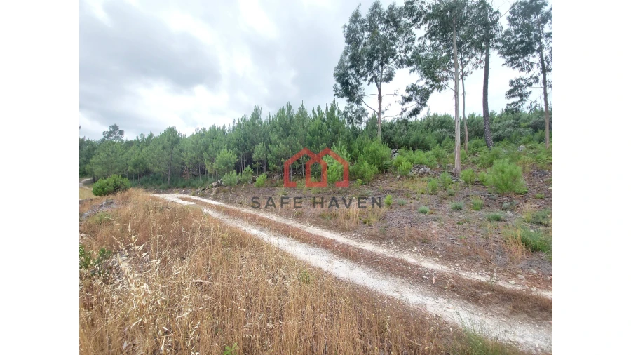 Terreno Agricola ou Rústico para Venda em Mangualde, Mesquitela e Cunha Alta Foto 1