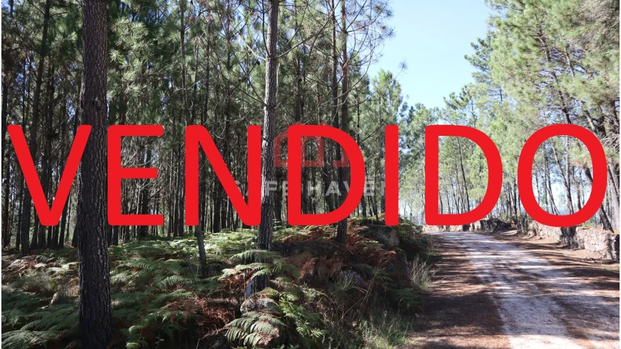 Terreno Agricola ou Rústico para Venda em Fornos de Maceira Dão Foto 1