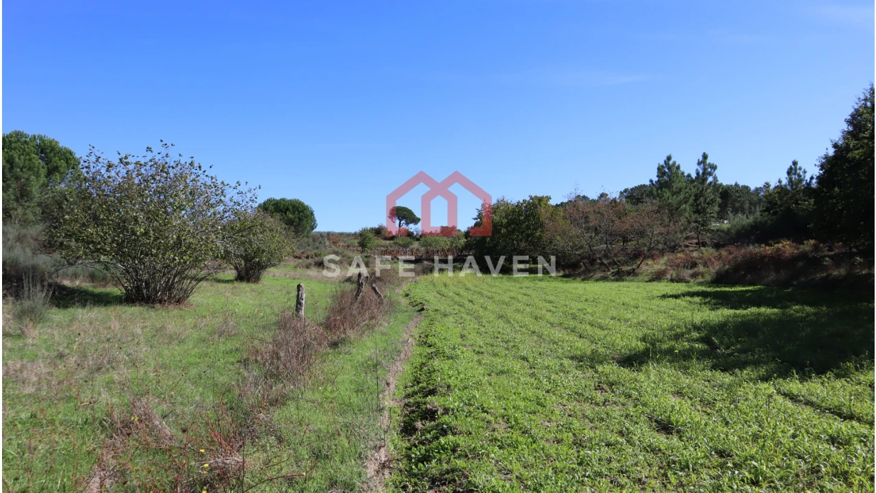Terreno Agricola ou Rústico para Venda em Fornos de Maceira Dão Foto 2