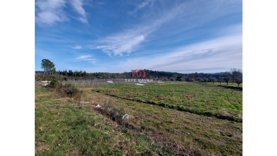 Terreno Agricola ou Rústico para Venda em Fornos de Maceira Dão Foto 2