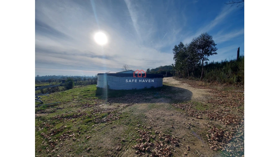 Terreno Agricola ou Rústico para Venda em Fornos de Maceira Dão Foto 1
