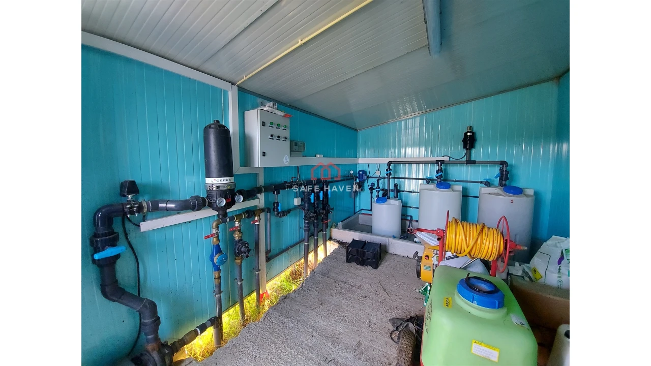 Terreno Agricola ou Rústico para Venda em Fornos de Maceira Dão Foto 3