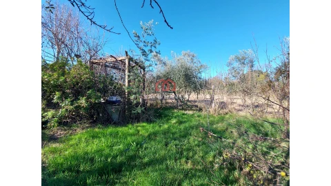 Terreno para Venda em Mangualde, Mesquitela e Cunha Alta