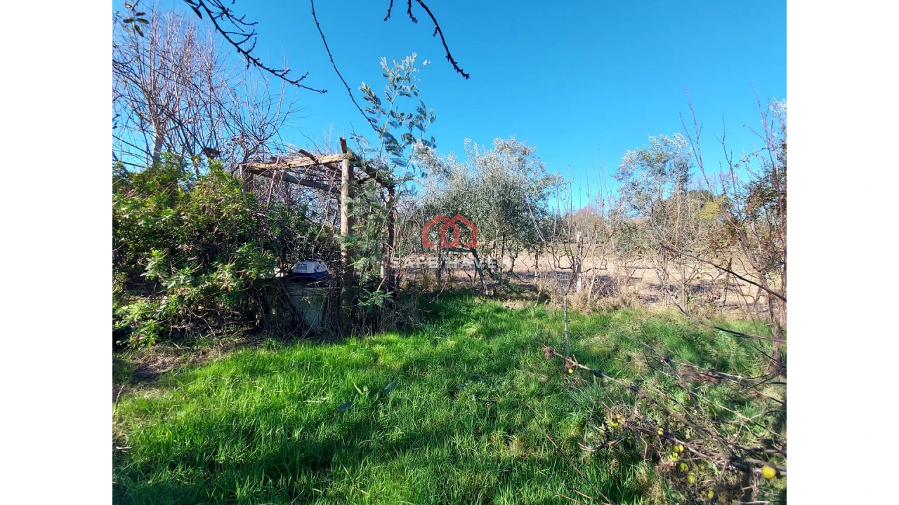 Terreno para Venda em Mangualde, Mesquitela e Cunha Alta Foto 1