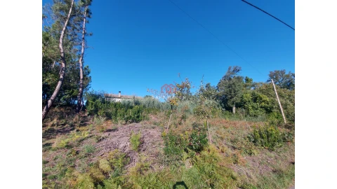 Terreno para Venda em Mangualde, Mesquitela e Cunha Alta