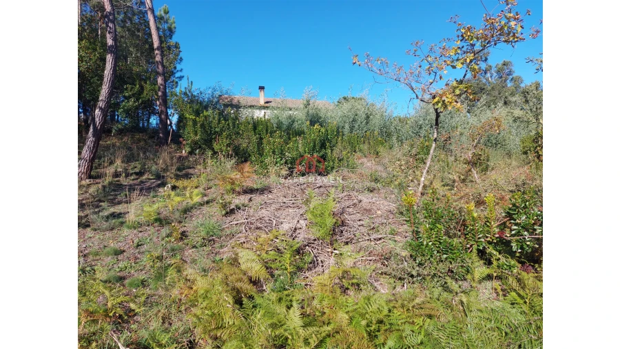 Terreno para Venda em Mangualde, Mesquitela e Cunha Alta Foto 2
