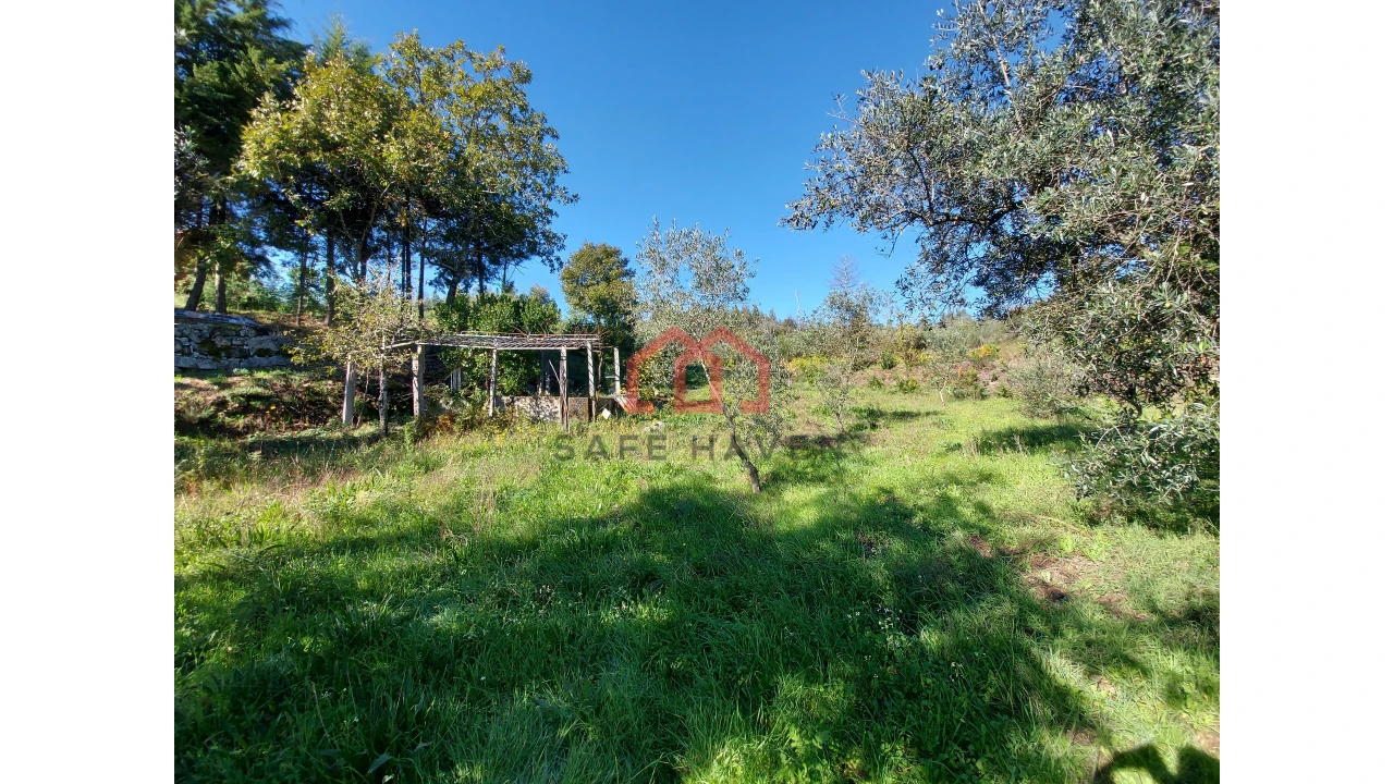 Quinta T0 para Venda em Cunha Baixa Foto 5
