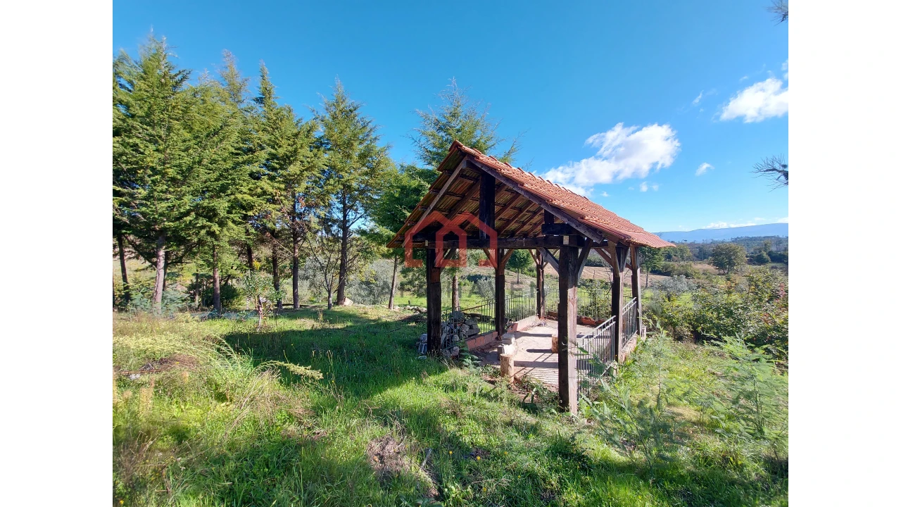 Quinta T0 para Venda em Cunha Baixa Foto 1