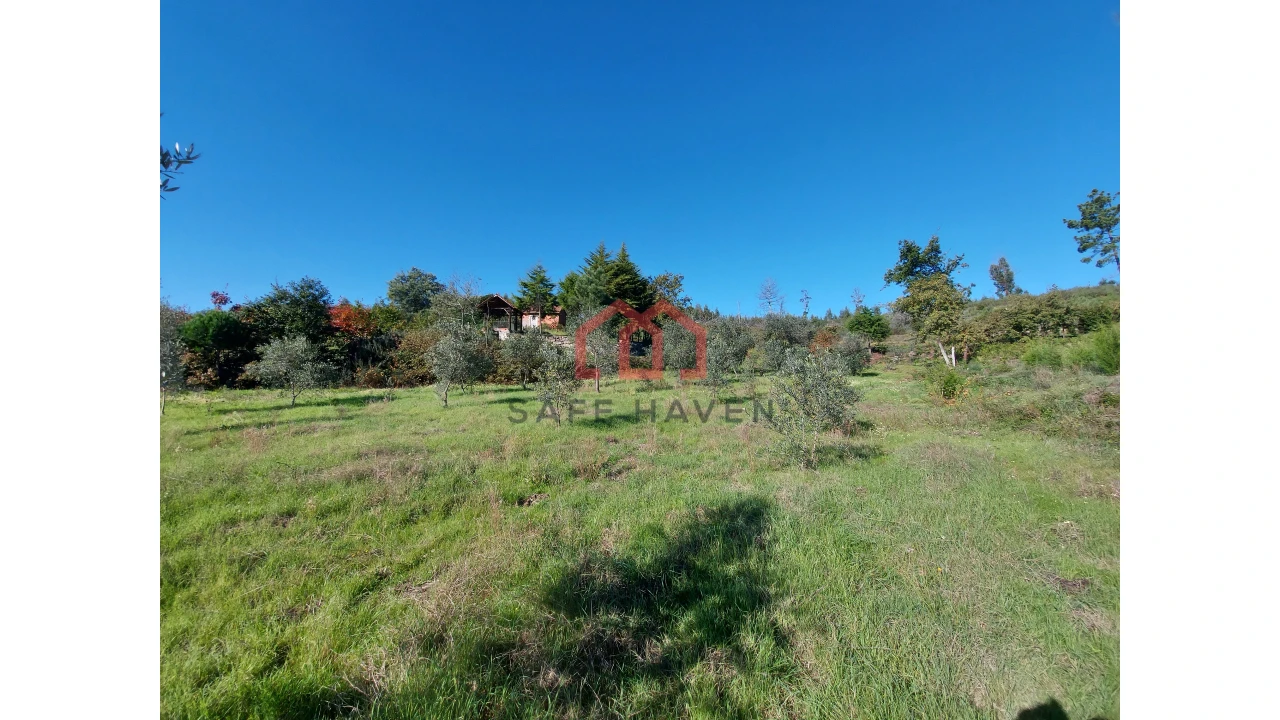 Quinta T0 para Venda em Cunha Baixa Foto 9