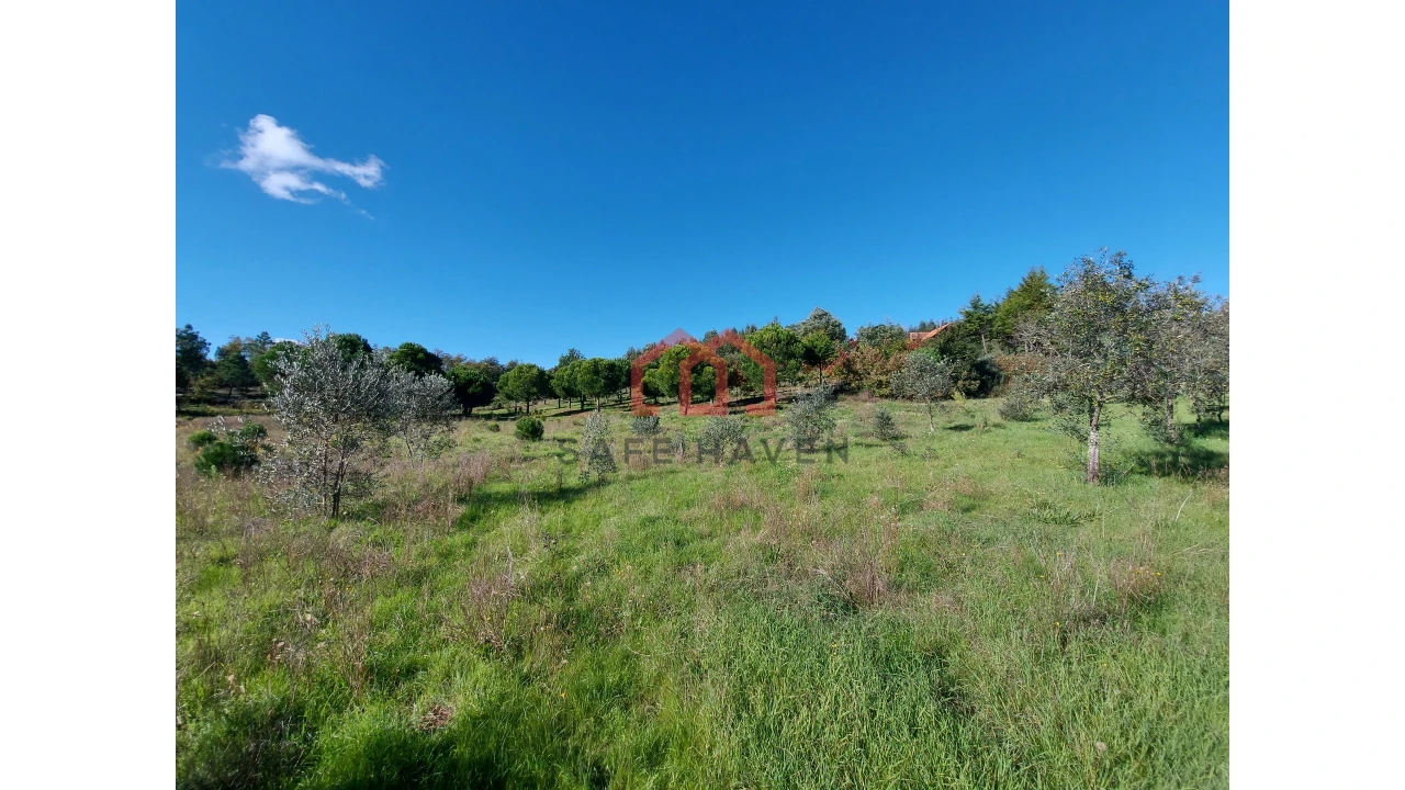 Quinta T0 para Venda em Cunha Baixa Foto 10