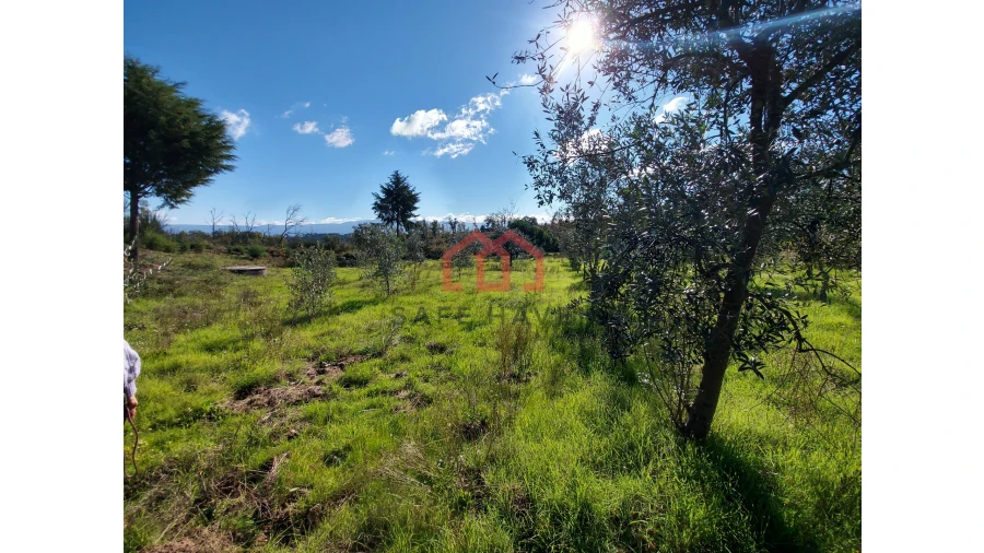 Quinta T0 para Venda em Cunha Baixa Foto 7