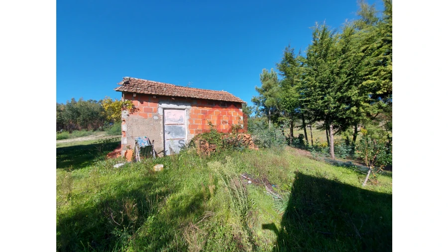 Quinta T0 para Venda em Cunha Baixa Foto 2