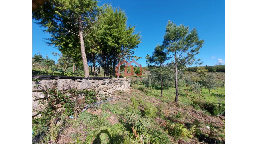 Quinta T0 para Venda em Cunha Baixa Foto 16