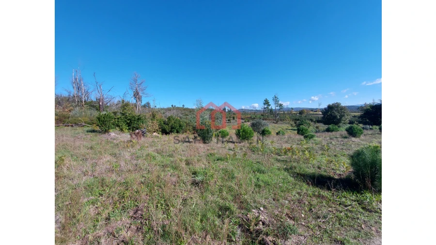 Quinta T0 para Venda em Cunha Baixa Foto 8