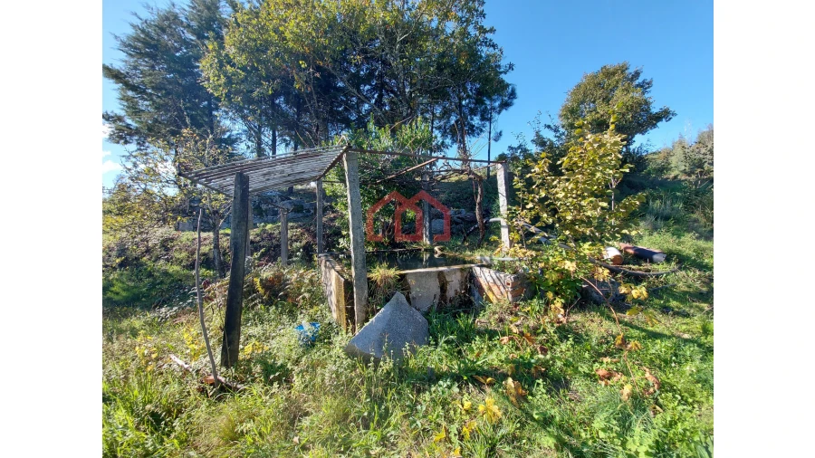 Quinta T0 para Venda em Cunha Baixa Foto 4