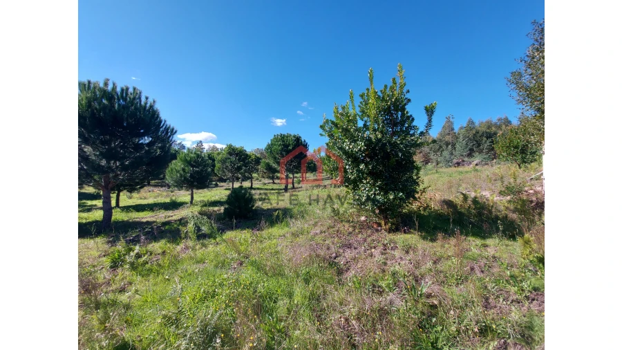 Quinta T0 para Venda em Cunha Baixa Foto 13
