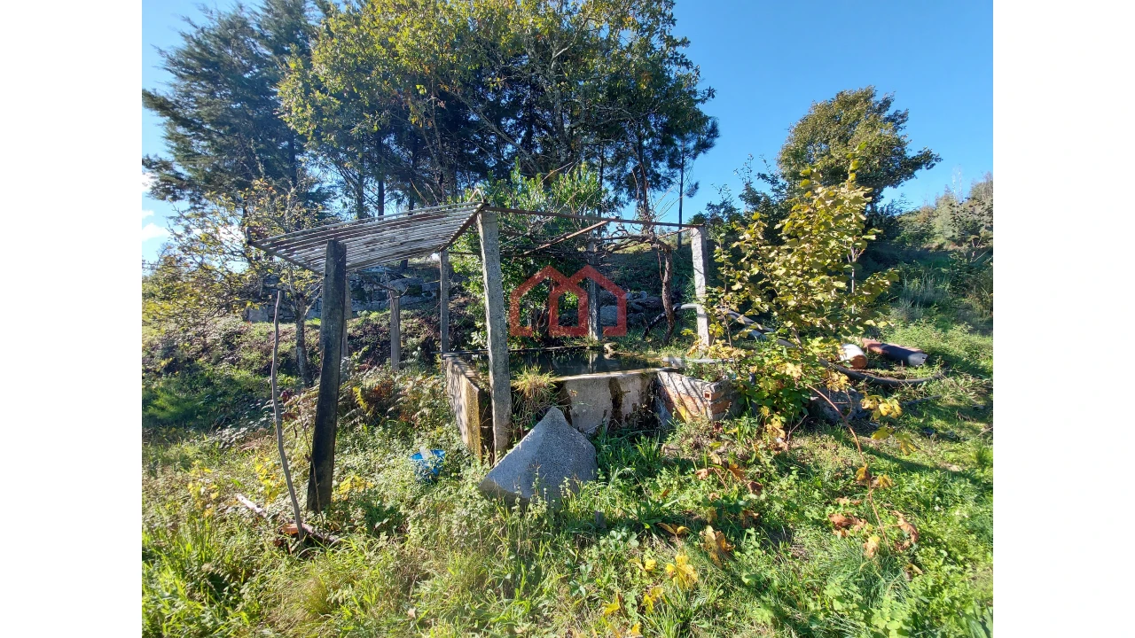 Quinta T0 para Venda em Cunha Baixa Foto 4