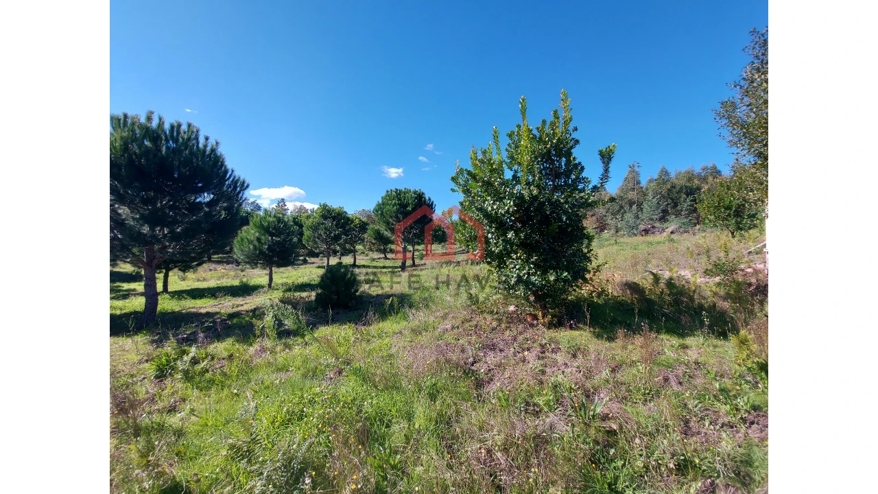 Quinta T0 para Venda em Cunha Baixa Foto 13