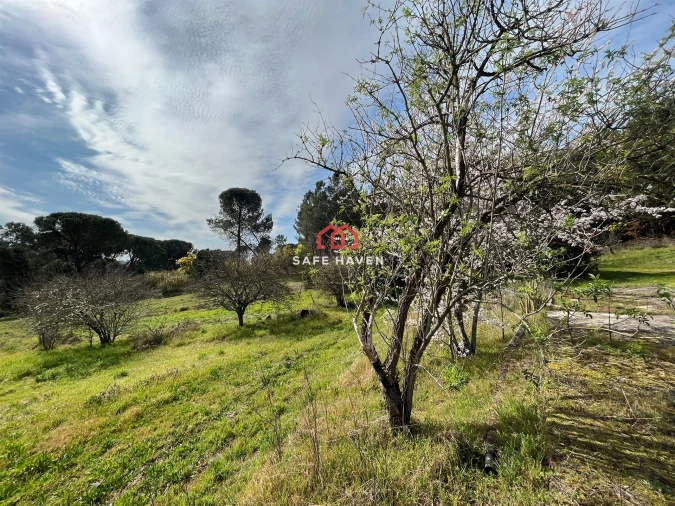 Quinta T3 para Venda em Castelões Foto 23