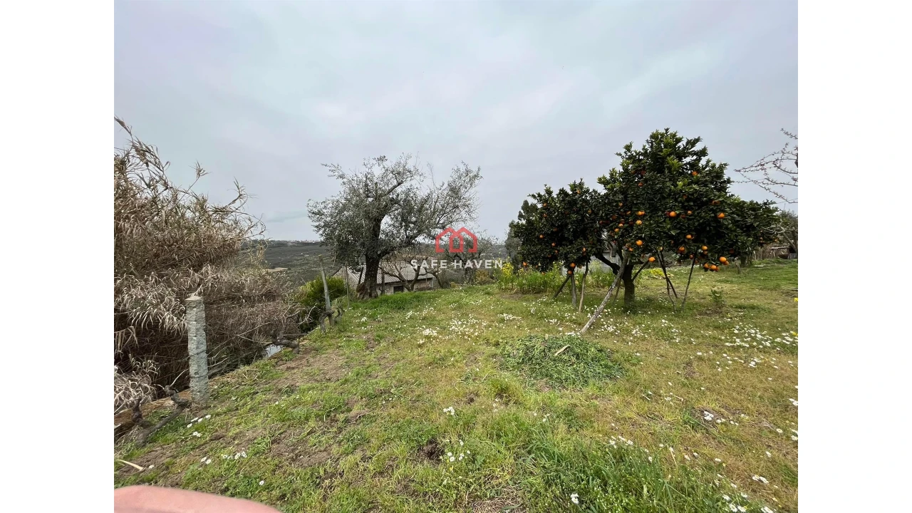 Quinta T0 para Venda em Alcafache Foto 6