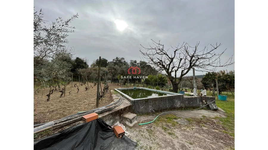 Quinta T0 para Venda em Alcafache Foto 9