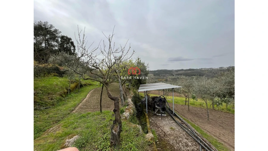 Quinta T0 para Venda em Alcafache Foto 4