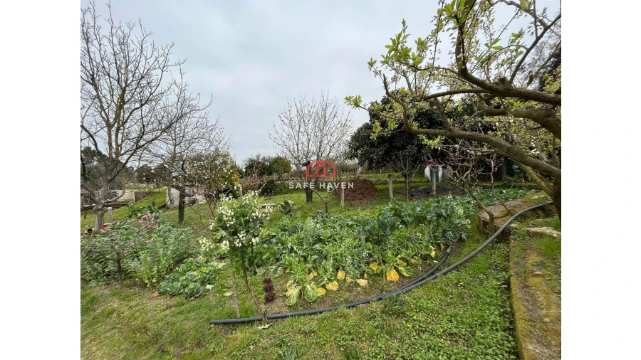 Quinta T0 para Venda em Alcafache Foto 3