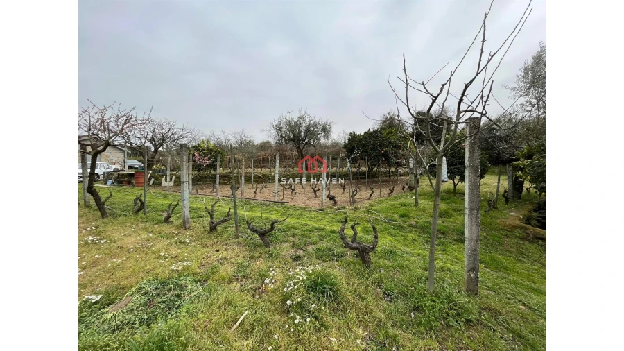 Quinta T0 para Venda em Alcafache Foto 5