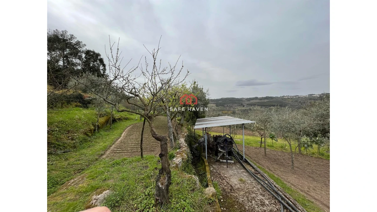 Quinta T0 para Venda em Alcafache Foto 4