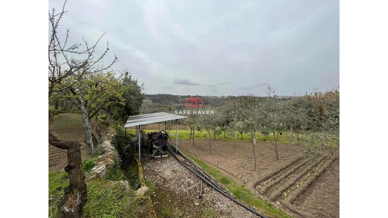 Quinta T0 para Venda em Alcafache Foto 7