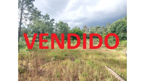 Terreno para Venda em Mangualde, Mesquitela e Cunha Alta