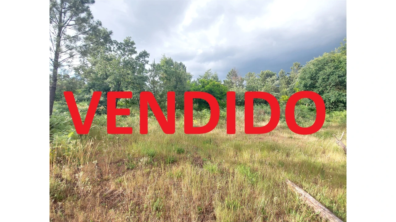 Terreno para Venda em Mangualde, Mesquitela e Cunha Alta Foto 1