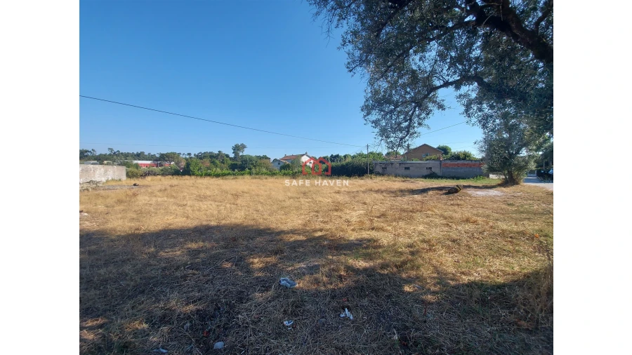 Terreno para Venda em Canas de Senhorim Foto 4