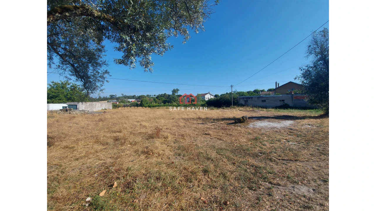 Terreno para Venda em Canas de Senhorim Foto 3