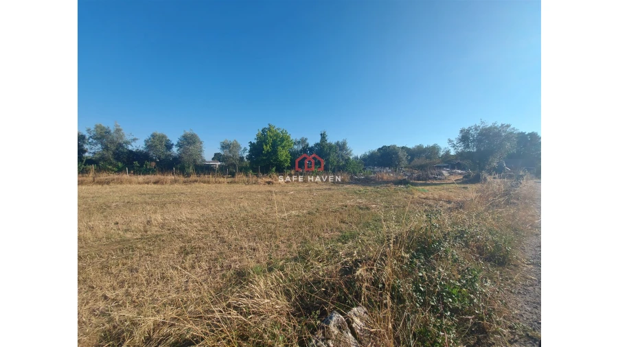 Terreno para Venda em Canas de Senhorim Foto 3