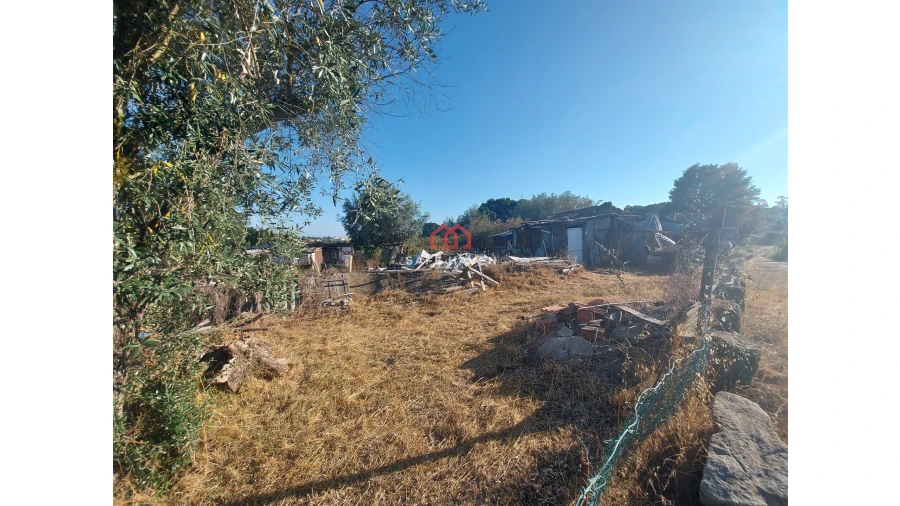 Terreno para Venda em Canas de Senhorim Foto 4