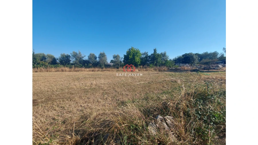Terreno para Venda em Canas de Senhorim Foto 2