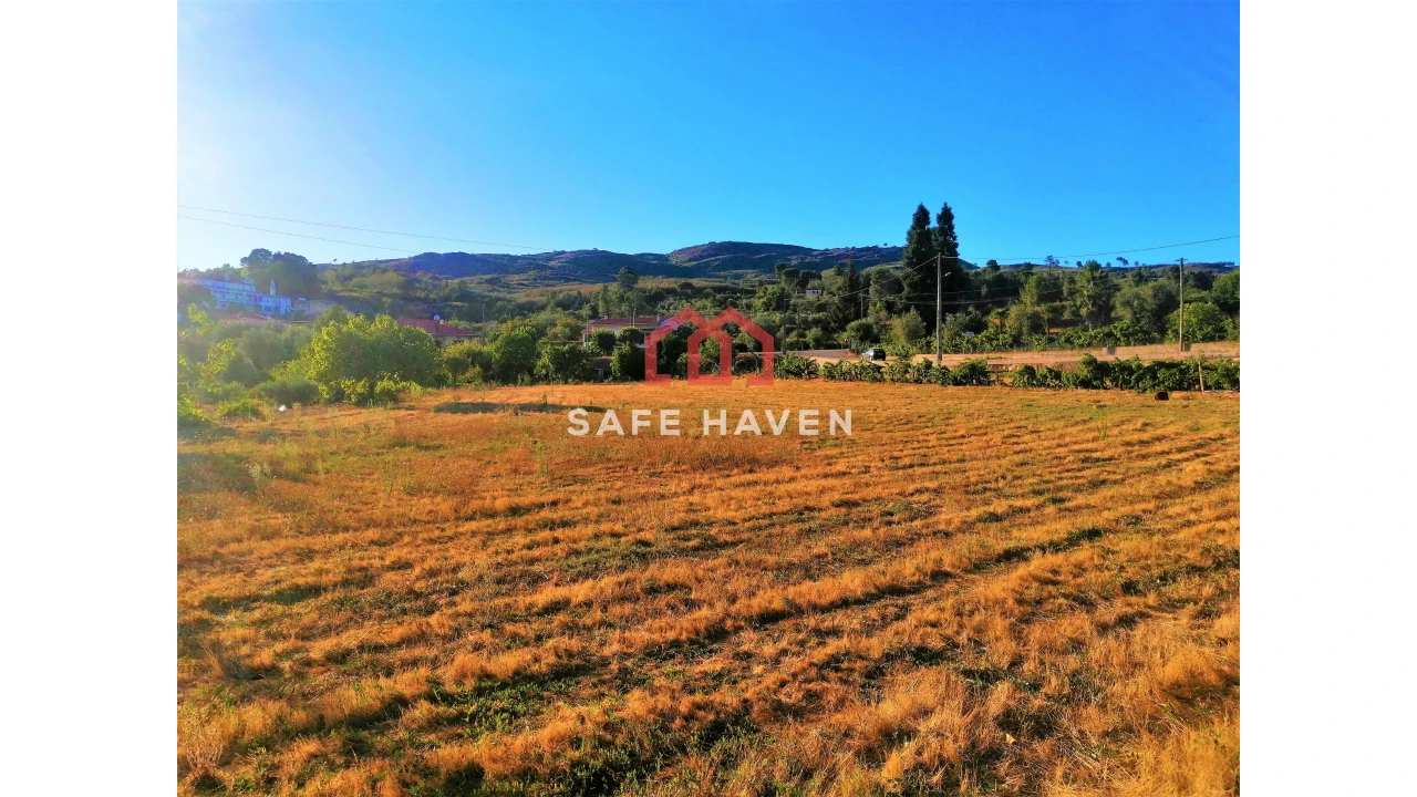 Terreno Agricola ou Rústico para Venda em Abrunhosa-A-Velha Foto 4